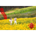 DU XUÂN ĐÀ LẠT HAPPY HILL - THE FLOREST HOA TRONG RỪNG CẦU ĐẤT NGẮM HOA ĐÀO
