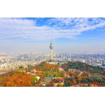 MÙA HÈ HÀN QUỐC - ĐẢO NAMI - CÔNG VIÊN EVERLAND - THÁP NAMSAN 