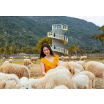 Thảo nguyên TANYOLI - Bãi Rêu thôn Từ Thiện - Bình Hưng An Hill