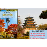MÙA THU SEOUL - LOTTE WORLD - ĐẢO NAMI - THƯ VIỆN - BAY SUN PHÚ QUỐC