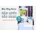 MÙA ĐÔNG HÀN QUỐC SEOUL - LOTTE WORLD - TRƯỢT TUYẾT - HÁI DÂU TẠI VƯỜN