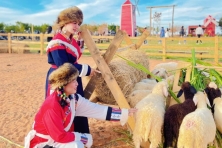 Du Xuân Mũi Né Làng  Mông Cổ MIANFAM - Chinh Phục Bàu Trắng Jeep Tour 3N2Đ