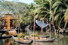 Khám Phá Vườn Trái Cây - trò Chơi Khu Du Lịch Mỹ Khánh - Căn Nhà Màu Tím [CẦN THƠ 2N1Đ]