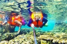 [Bình Ba 2N2Đ ] Hang Heo Cam Ranh | Hòn Rùa | Bãi Rêu Xanh | Làng Yến Mai Sinh
