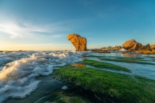 Cổ Thạch Bãi Rêu Ninh Chữ Biển Bãi Cóc Hang Rái Đồng Cừu An Hòa Đồi Cát Nam Cương 3N3Đ