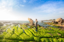 Cổ Thạch Bãi Rêu Ninh Chữ Biển Bãi Cóc Hang Rái Đồng Cừu An Hòa Đồi Cát Nam Cương 3N3Đ