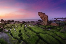 Cổ Thạch Bãi Rêu Ninh Chữ Biển Bãi Cóc Hang Rái Đồng Cừu An Hòa Đồi Cát Nam Cương 3N3Đ