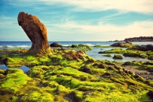 Biển Cổ Thạch Bảy Đá Bảy Màu 1 Ngày 1 Đêm cũ
