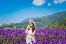 [ĐÀ LẠT 3N3Đ] Ngắm Nhìn Mùa Hoa Lavender Tím Cả Cánh Đồng