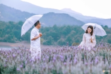[ĐÀ LẠT 3N3Đ] Mùa Hoa Phượng Tím | Cánh Đồng Hoa Lavender Tháng 3 & Tháng 4