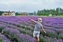 [ĐÀ LẠT 3N3Đ] Ngắm Nhìn Mùa Hoa Lavender Tím Cả Cánh Đồng