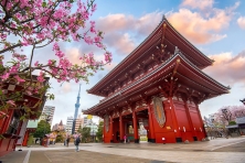 DU LỊCH NHẬT BẢN MÙA THU TOKYO – FUJI – KYOTO - OSAKA