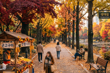 MÙA THU SEOUL - LOTTE WORLD - ĐẢO NAMI - THƯ VIỆN - BAY SUN PHÚ QUỐC