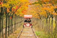 MÙA HÈ HÀN QUỐC - ĐẢO NAMI - CÔNG VIÊN EVERLAND - THÁP NAMSAN 