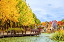 MÙA HÈ HÀN QUỐC - ĐẢO NAMI - CÔNG VIÊN EVERLAND - THÁP NAMSAN 