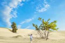 Cổ Thạch Bãi Rêu Ninh Chữ Biển Bãi Cóc Hang Rái Đồng Cừu An Hòa Đồi Cát Nam Cương 3N3Đ