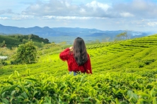 DU XUÂN ĐÀ LẠT HAPPY HILL - THE FLOREST HOA TRONG RỪNG CẦU ĐẤT NGẮM HOA ĐÀO