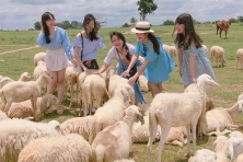 [KHU SINH THÁI THÁC H