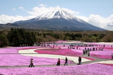 DU LỊCH NHẬT BẢN MÙA HÈ TOKYO–FUJI–KYOTO-OSAKA