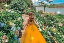 ĐÀ LẠT - HAPPY HILL SĂN MÂY CẦU ĐẤT KHÁM PHÁ VƯỜN ĐỊA ĐÀNG