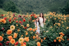 DU XUÂN ĐÀ LẠT HAPPY HILL - THE FLOREST HOA TRONG RỪNG CẦU ĐẤT NGẮM HOA ĐÀO