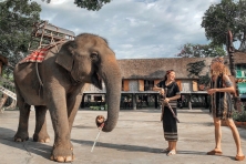 “Khám Phá Tây Nguyên” Gia Lai – Kon Tum– Đăk Lăk