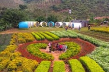 [MỘC CHÂU 3N2Đ] Mùa Hoa Ban Vùng Tây Bắc | Khu Du Lịch Happy Land | Đồi Chè Tình Yêu