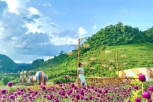 [MỘC CHÂU 3N2Đ] Mùa Hoa Ban Vùng Tây Bắc | Khu Du Lịch Happy Land | Đồi Chè Tình Yêu