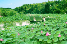 [MIỀN TÂY 2N1Đ] Mỹ Tho | Vĩnh Long | Cao Lãnh | Sa Đéc