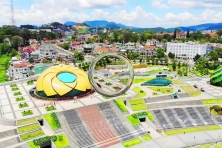 DU XUÂN ĐÀ LẠT HAPPY HILL - THE FLOREST HOA TRONG RỪNG CẦU ĐẤT NGẮM HOA ĐÀO