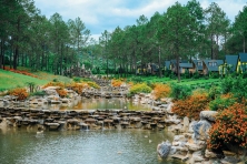 [MỘC CHÂU 3N2Đ] Mùa Hoa Ban Vùng Tây Bắc | Khu Du Lịch Happy Land | Đồi Chè Tình Yêu