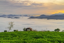 ĐÀ LẠT - HAPPY HILL SĂN MÂY CẦU ĐẤT KHÁM PHÁ VƯỜN ĐỊA ĐÀNG