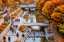 MÙA THU SEOUL - LOTTE WORLD - ĐẢO NAMI - THƯ VIỆN - BAY SUN PHÚ QUỐC