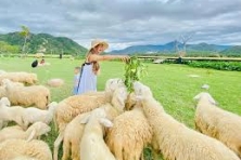 Thảo nguyên TANYOLI - Bãi Rêu thôn Từ Thiện - Bình Hưng An Hill