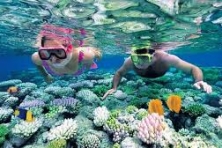 [Quy Nhơn 3N3D] Khám Phá Đảo Kỳ Co | Mũi Điện Đại Lãnh | Tháp Nghinh Phong | Chùa Ông Núi