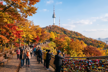 MÙA THU SEOUL - LOTTE WORLD - ĐẢO NAMI - THƯ VIỆN - BAY SUN PHÚ QUỐC