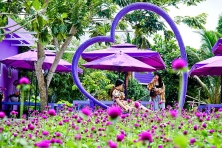 [CẦN THƠ 2N1Đ] Tham Gia Lễ Hội Bánh Dân Gian | Khám Phá Khu Du Lịch Ông Đề | Vườn Trái Cây Ba Cống.