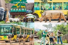 [PHÚ QUỐC 4N3Đ] Trải Nghiệm Vườn Trái Cây Tây Đô Cần Thơ | Khám Phá Nam Đảo Xe Ghế Ngồi Vip Cao Cấp