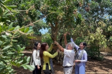 [BẠC LIÊU 2N2Đ] Khám Phá Vườn Nhãn Trăm Tuổi | Cánh Đồng Quạt Gió