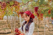 [KHU SINH THÁI THÁC H
