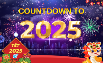 ALLA GROUP