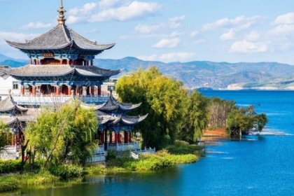 ALLA GROUP