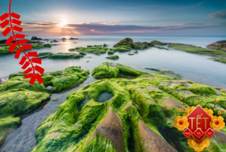 DU XUÂN CỔ THẠCH BÃI RÊU–HÒN CAU–MŨI DINH–PHAN THIẾT