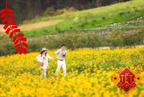 DU XUÂN ĐÀ LẠT HAPPY HILL - THE FLOREST HOA TRONG RỪNG CẦU ĐẤT NGẮM HOA ĐÀO