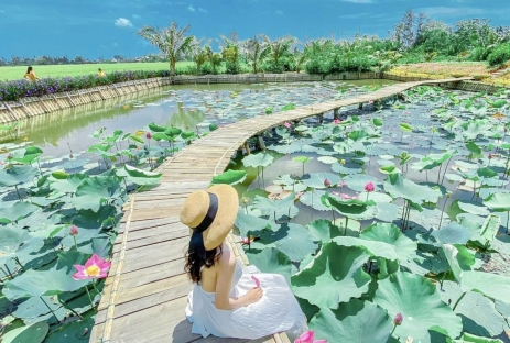 Phan Rang - Khu Dl Sinh Thái Charaih Ninh Thuận - Cánh Đồng Muối - Vườn Nho [3n2đ]