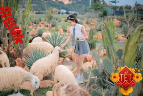 Du Xuân Mũi Né Làng  Mông Cổ MIANFAM - Chinh Phục Bàu Trắng Jeep Tour 3N2Đ