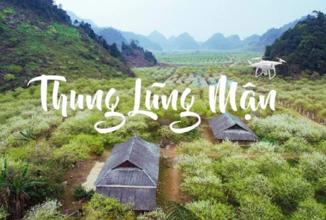 [MỘC CHÂU 3N2Đ] Mùa Thu Chiêm Ngưỡng Hoa Cải Trắng Thung Lũng Nà Ka  Cầu Kính Bạch Long